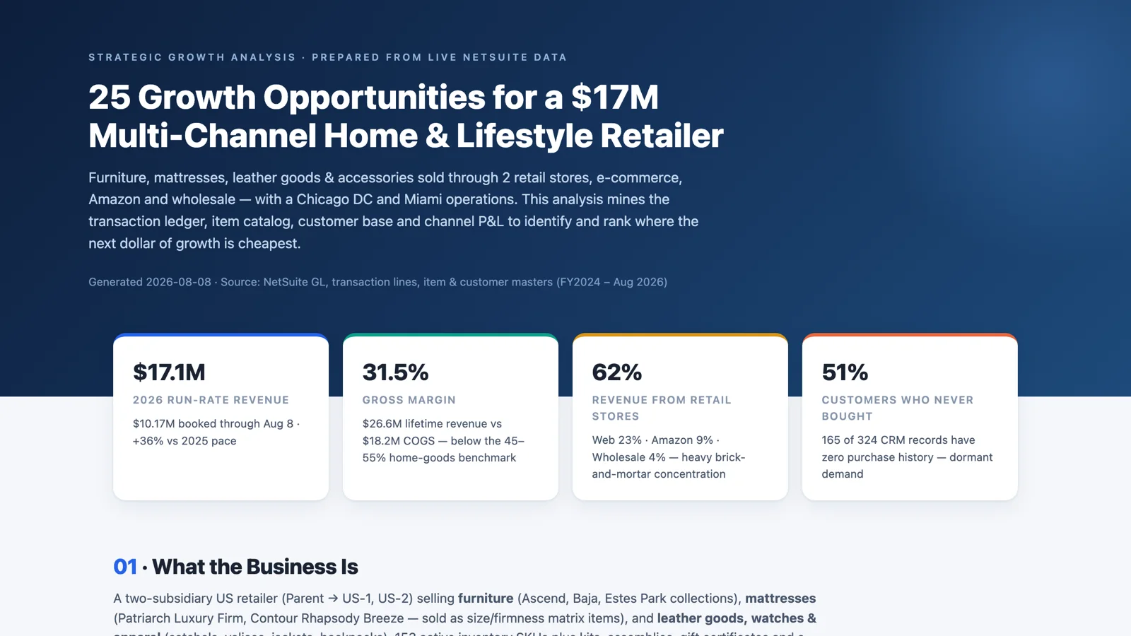 The Growth Opportunity Analysis report: 25 opportunities for a 17 million dollar multi-channel retailer, with run-rate revenue, gross margin, channel concentration, and the share of customers who never bought